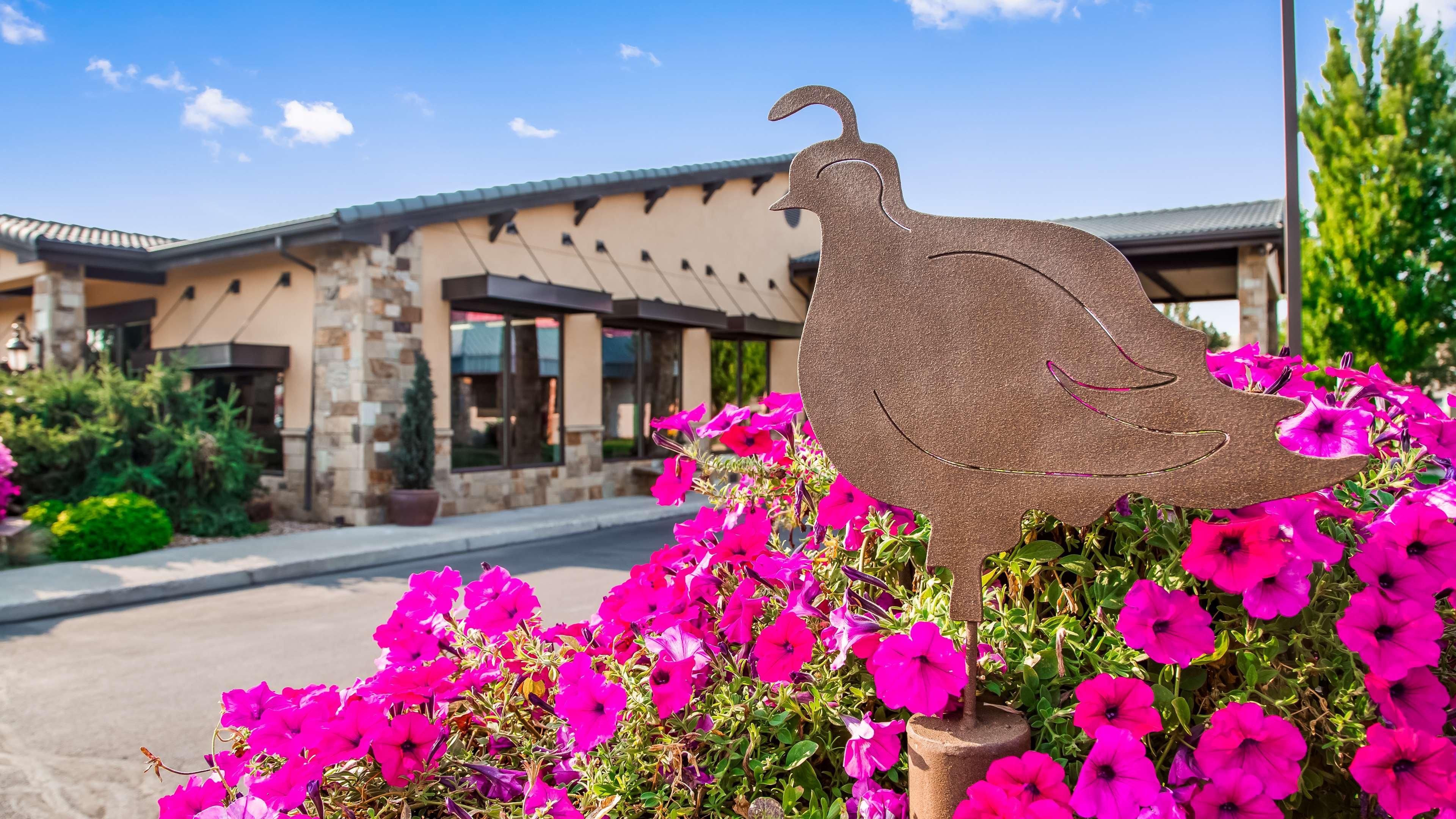 Best Western Prineville Inn Exterior foto